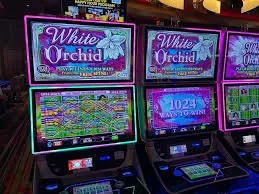 ok222game Baccarat Jungle at ok222game